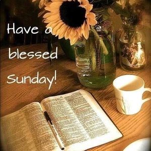 Meet your Posher, Laressa